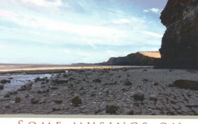 Look Well to This Day