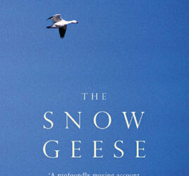 The Snow Geese