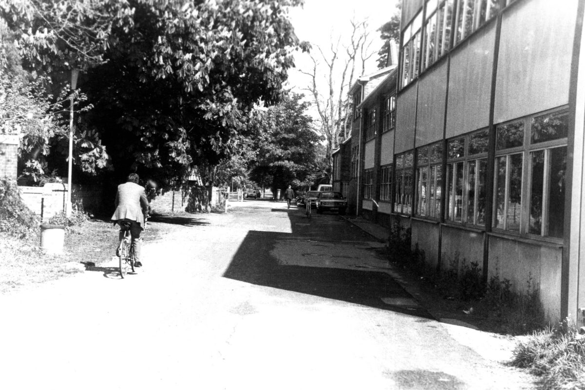 A Walk Down Dragon Lane …