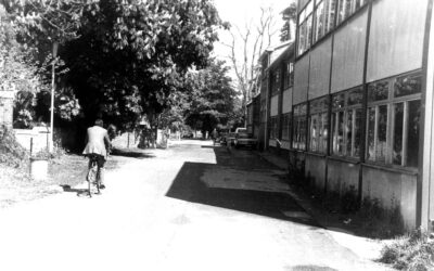 A Walk Down Dragon Lane …