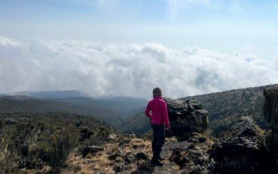 Protected: Dangerous Advice for a Literal-Minded Thirteen-Year-Old