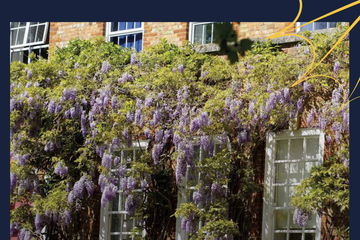 Dragon’s Tales – Spring 2026